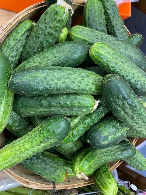 cucumbers