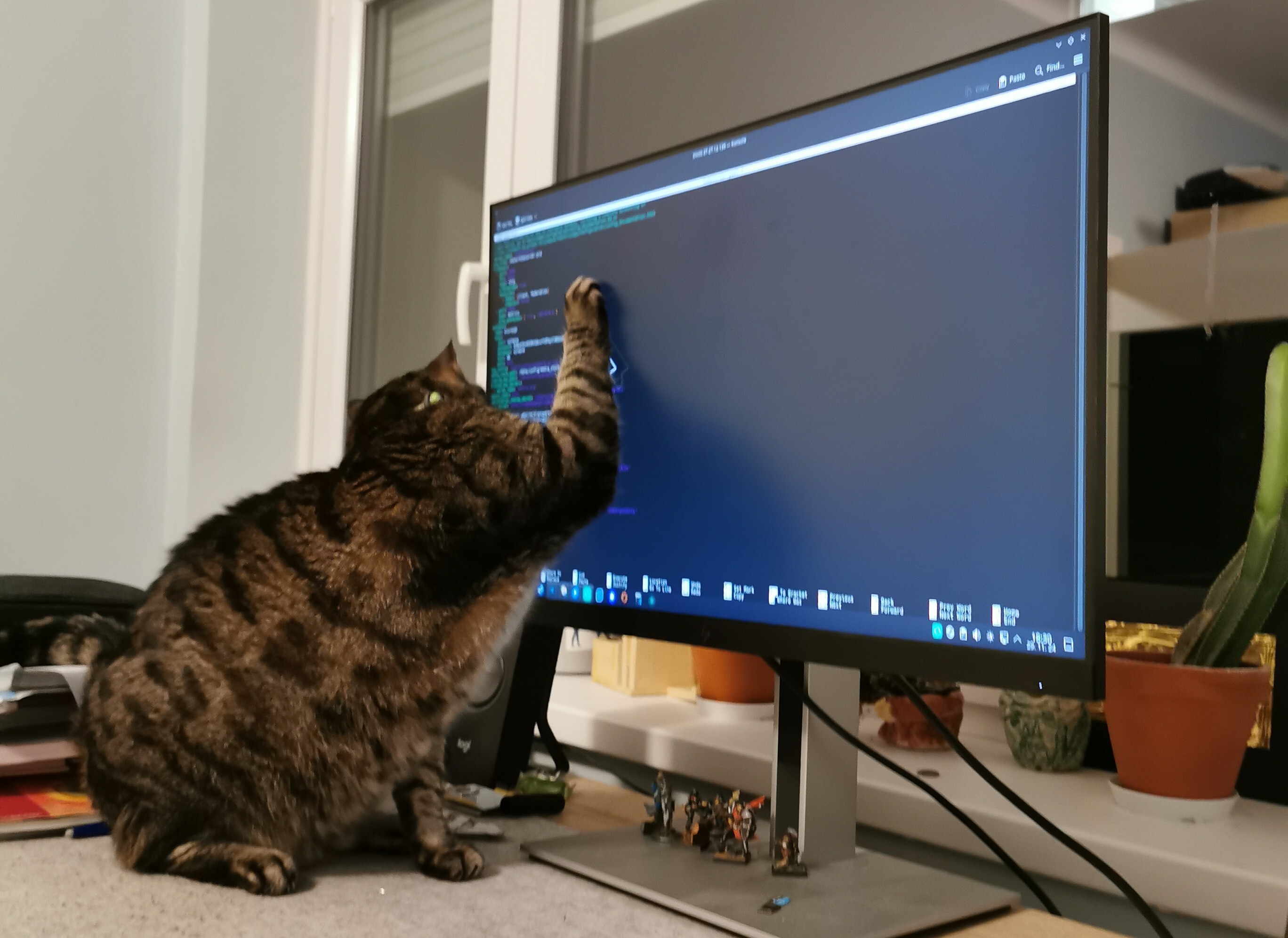 a cat attacking my monitor