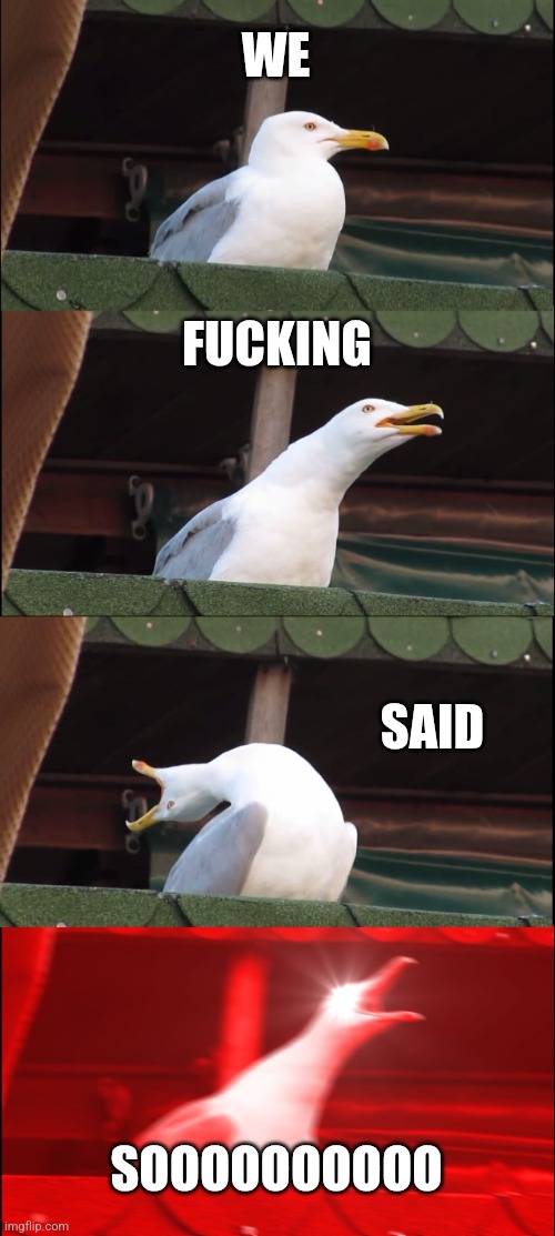 The screaming seagull four-panel meme, saying "we fucking said soooooo"