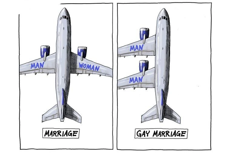 Drawing of two planes: The first, labeled "Marriage", has two wings on both sides, one labeled Man, the other labeled Woman. The second plane, labeled "Gay Marriage", has both wings on the left side, both labeled Man.