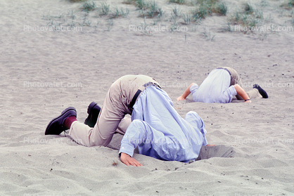 people with their heads buried in the sand