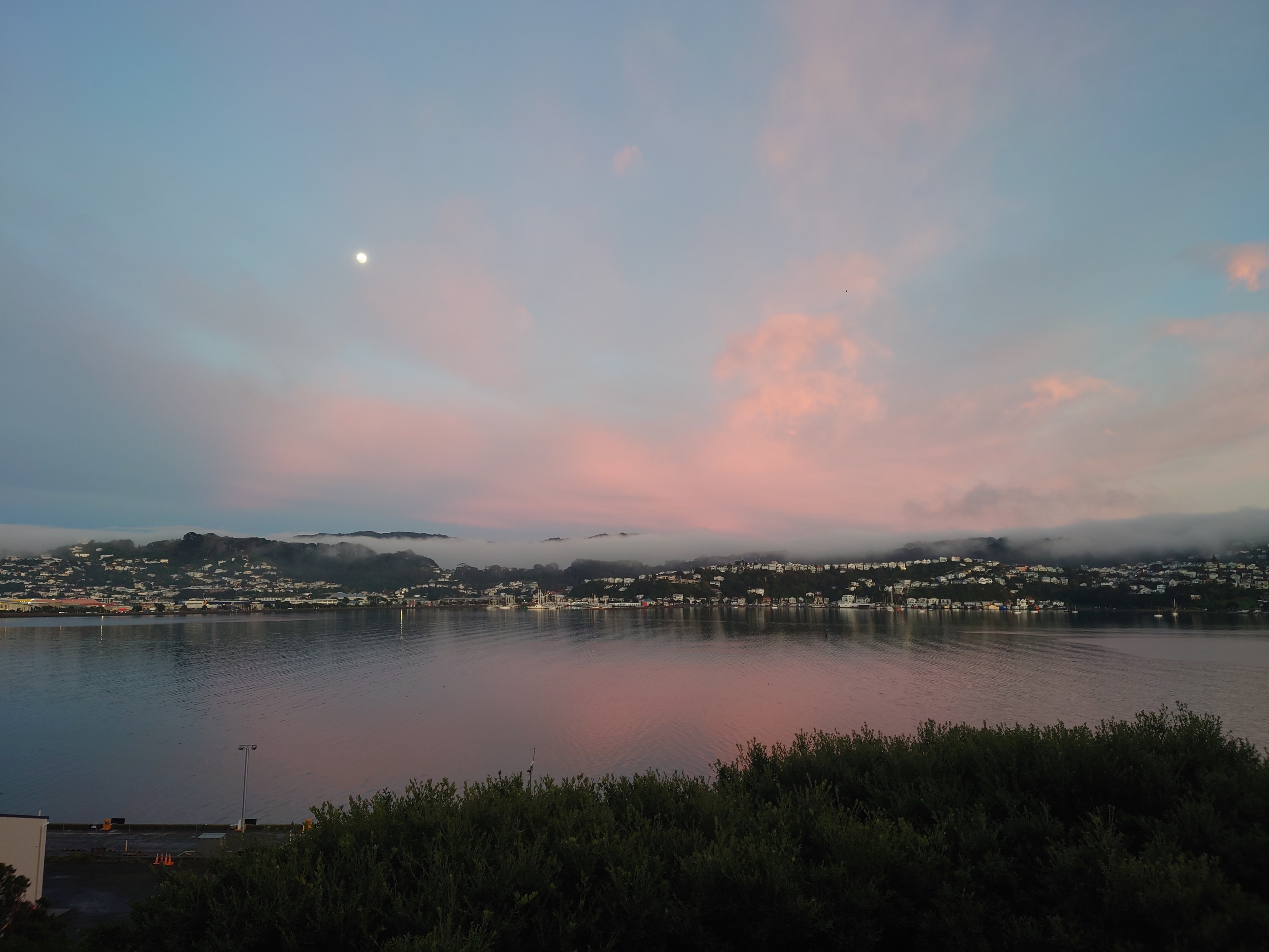 sunrise on Monday morning in Welly 