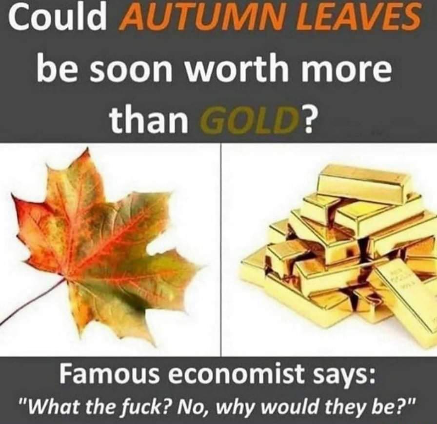 A meme saying "Could Autumn leaves soon be worth more than gold?" at the top, followed by pictures of leaves and a gold bar. At the bottom is a caption saying "A famous economist says 'what the ****? No, why would they be?'"