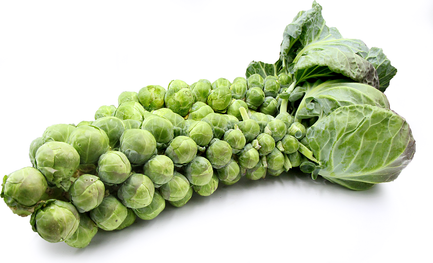 Brussel sprouts 