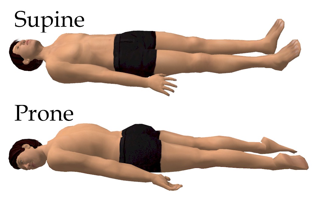 Computer-generated modeling awkwardly showing supine and prone postures