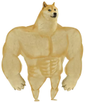 swole-doge